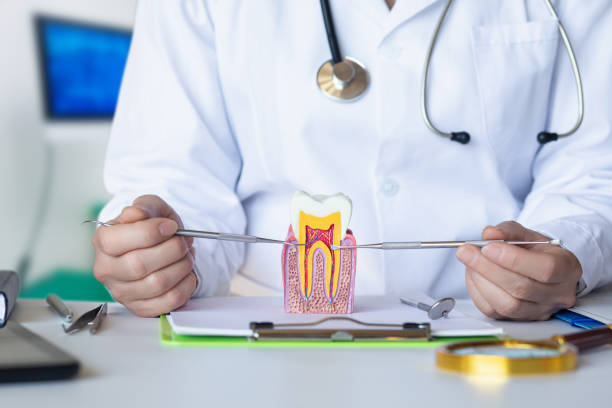 Best Emergency Tooth Extraction in Saddle River, NJ